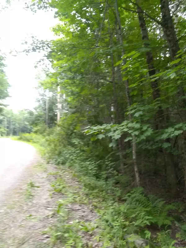 Newport, ME 04953,32 Shady LN