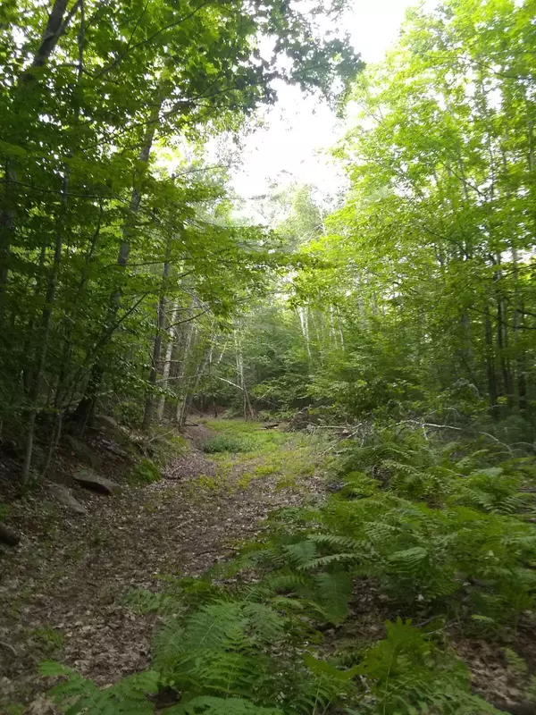 Newport, ME 04953,32 Shady LN