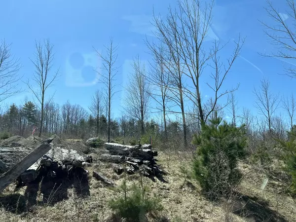 Parsonsfield, ME 04047,Lot 5 Fenderson RD