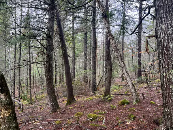 Northfield, ME 04654,M5L1-42 Glacier LN