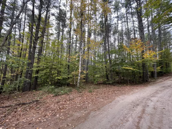 Hiram, ME 04041,Lot 21-1 Wilderness LN