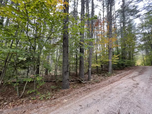 Lot 21-1 Wilderness LN, Hiram, ME 04041