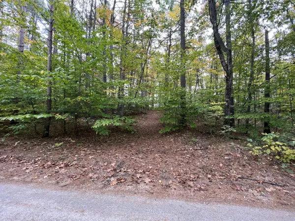 Hiram, ME 04041,Lot 21-2 Wilderness LN