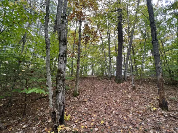 Hiram, ME 04041,Lot 21-2 Wilderness LN