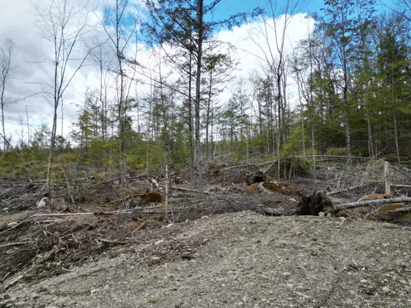 Lee, ME 04455,Lot 6 Off Bill Green Pond RD