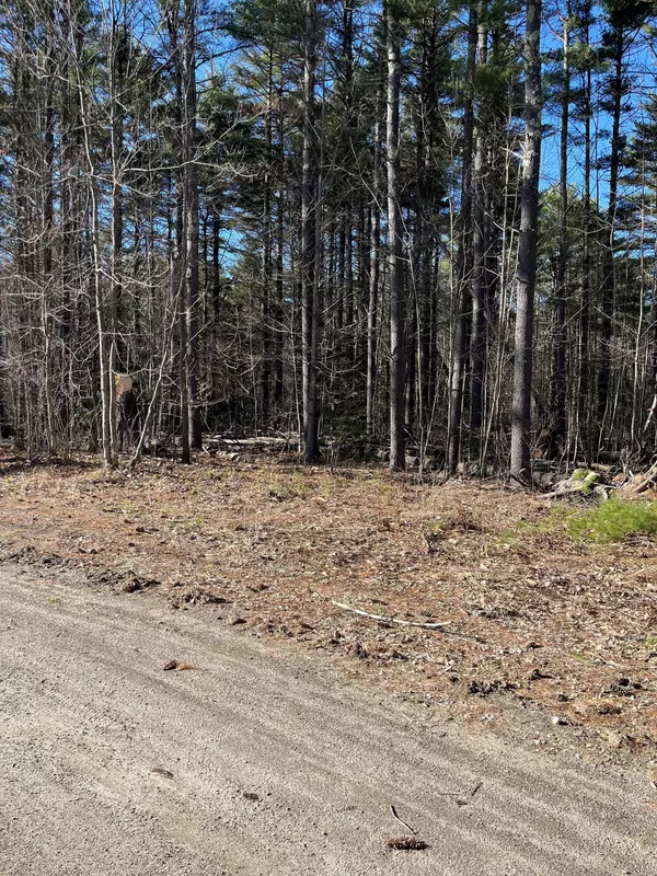 West Gardiner, ME 04345,Lot 8 Ridge View EST