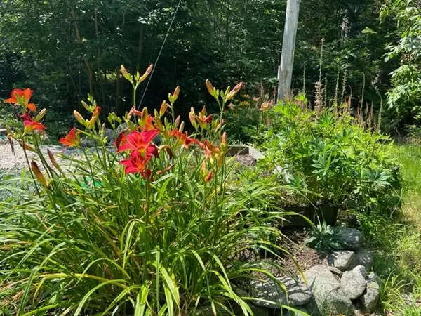 Surry, ME 04684,17 Carlisle RD