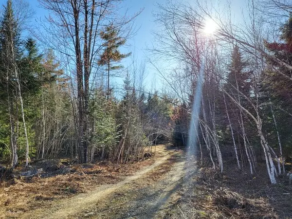 Lot 17 M14 L15-3 Coburn RD, Carthage, ME 04224