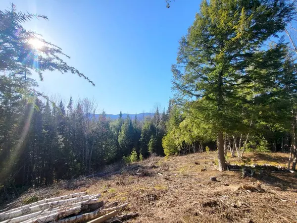 Carthage, ME 04224,Lot 18 M14 L15-3 Coburn RD
