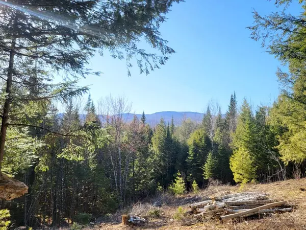 Lot 18 M14 L15-3 Coburn RD, Carthage, ME 04224