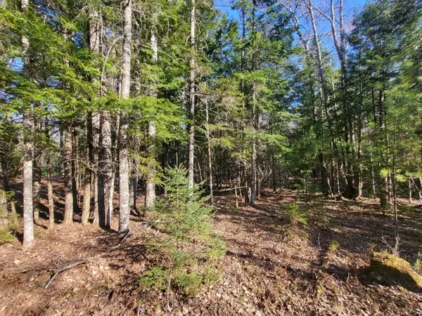 Carthage, ME 04224,Lot 19 M14 L15-3 Coburn RD