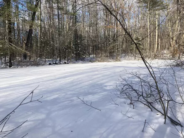 Pittston, ME 04345,Map11RL55 E Pittston RD