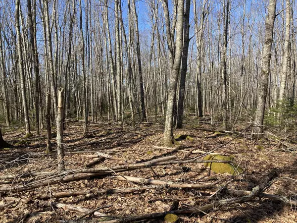 Pittston, ME 04345,Map11RL55 E Pittston RD