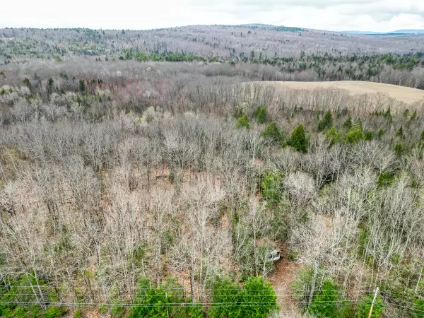 Hartland, ME 04943,TBD Chipmunk LN