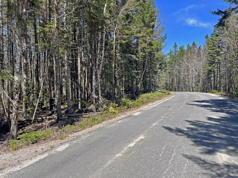Lot 1 Peninsula RD, Gouldsboro, ME 04607
