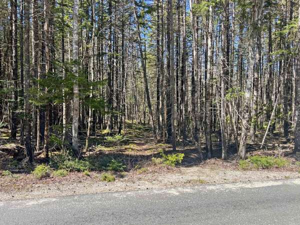 Gouldsboro, ME 04607,Lot 1 Peninsula RD