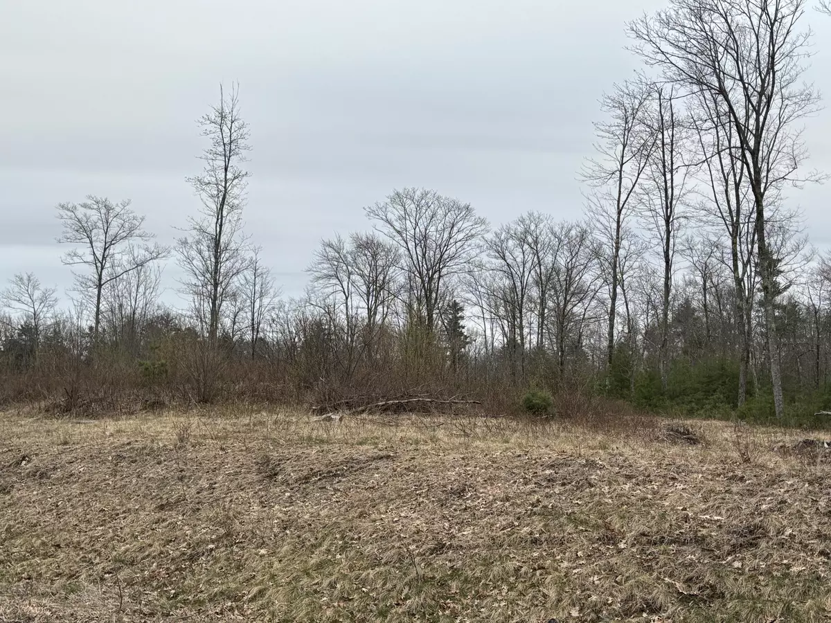 Wells, ME 04090,Lot 1 Webber Ridge LN