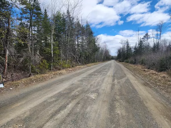 Crystal, ME 04747,Lot C Cow Team RD