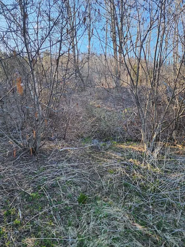 Crystal, ME 04747,Lot C Cow Team RD