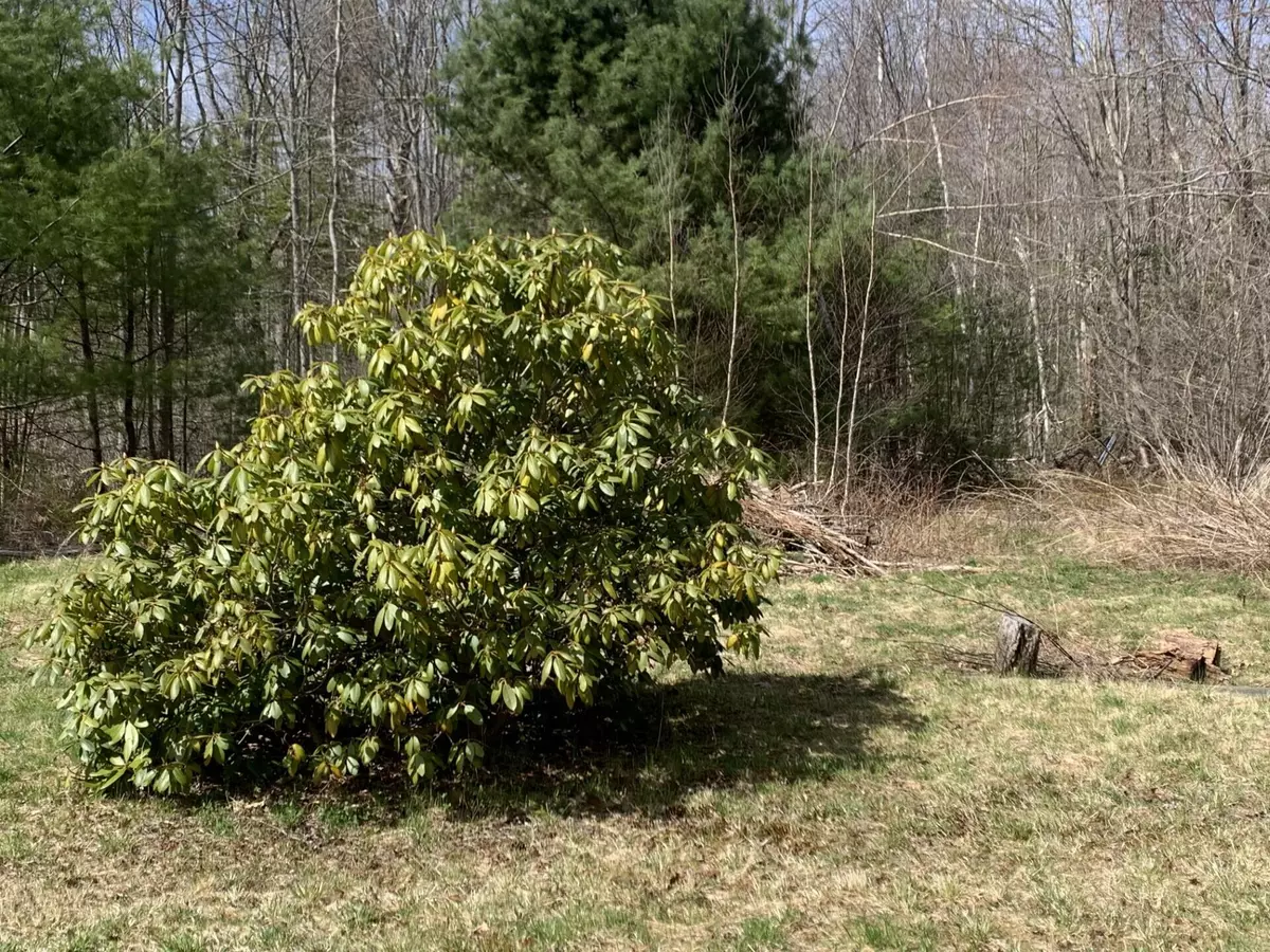 Kennebunkport, ME 04046,52 Old Cape RD