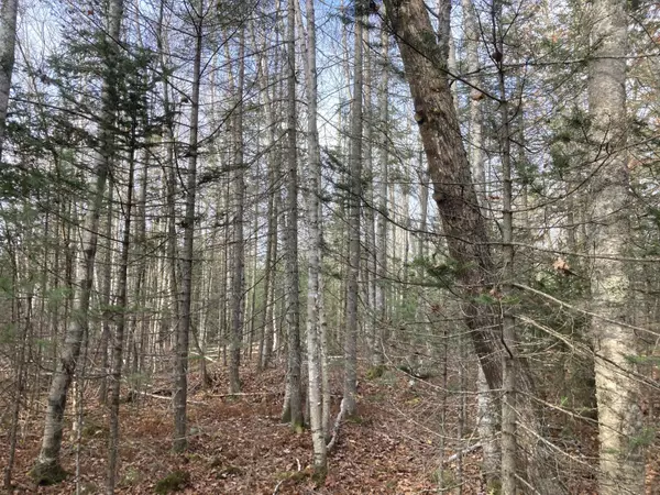 Searsmont, ME 04973,Map 2 L 57 Off Muzzy Ridge (ROW) RD