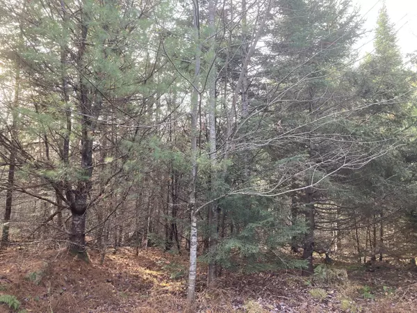 Searsmont, ME 04973,Map 2 L 57 Off Muzzy Ridge (ROW) RD