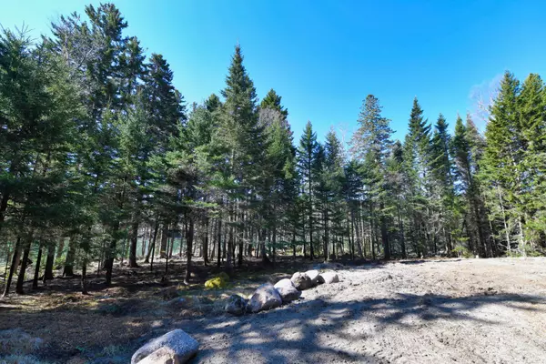 Deer Isle, ME 04627,Address not disclosed