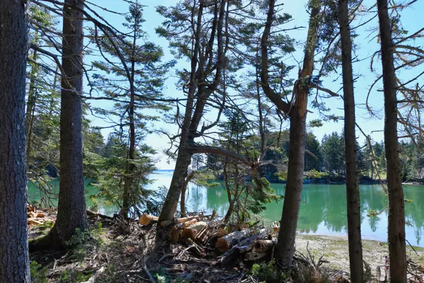 Deer Isle, ME 04627,Address not disclosed