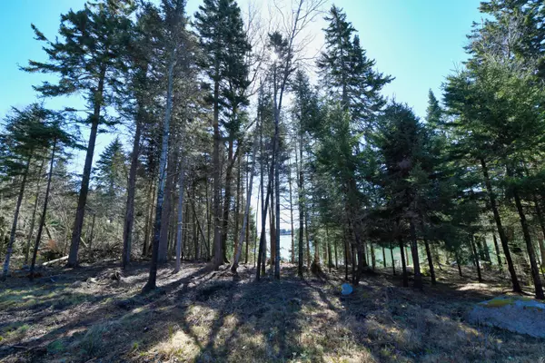 Deer Isle, ME 04627,Address not disclosed