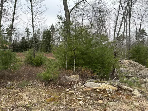 Wells, ME 04090,Lot 7 Webber Ridge LN