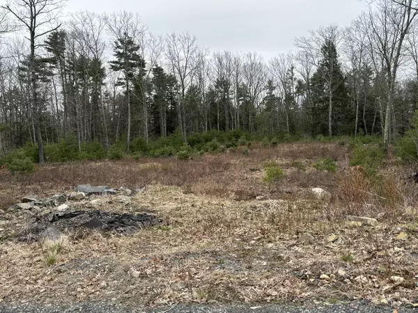 Wells, ME 04090,Lot 7 Webber Ridge LN