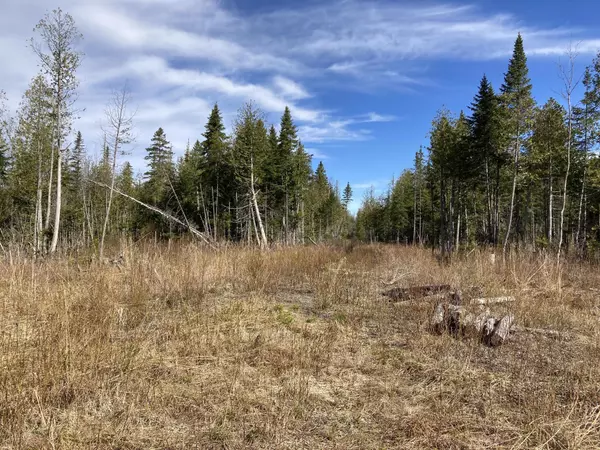 New Sweden, ME 04762,Map2Lot9D Jemtland RD