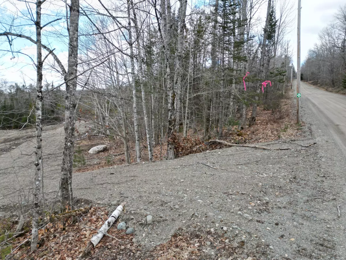Lee, ME 04455,Lot 2 Arab RD