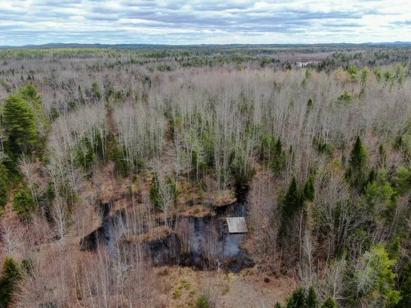 Lot 14-1 Pine RD, Greenbush, ME 04418