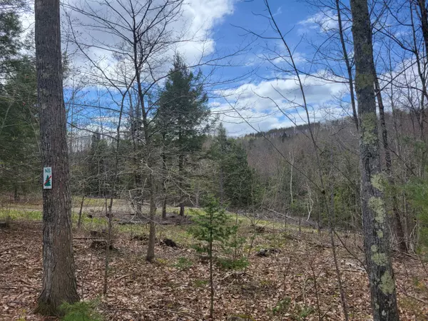 Mount Vernon, ME 04352,Lots 1&2 North RD