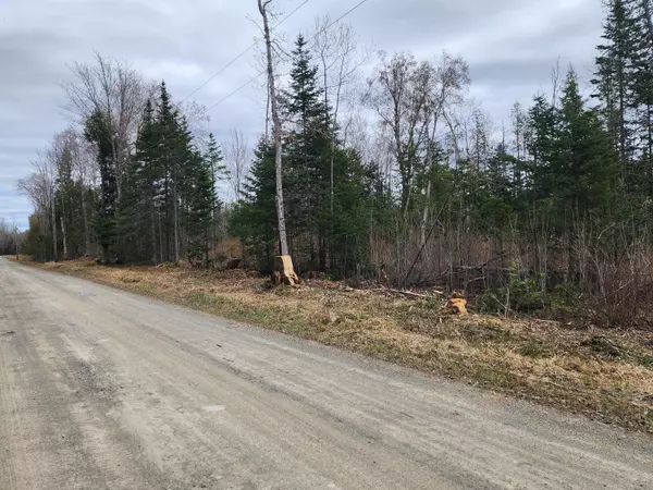 Crystal, ME 04747,Lot N Cow Team RD