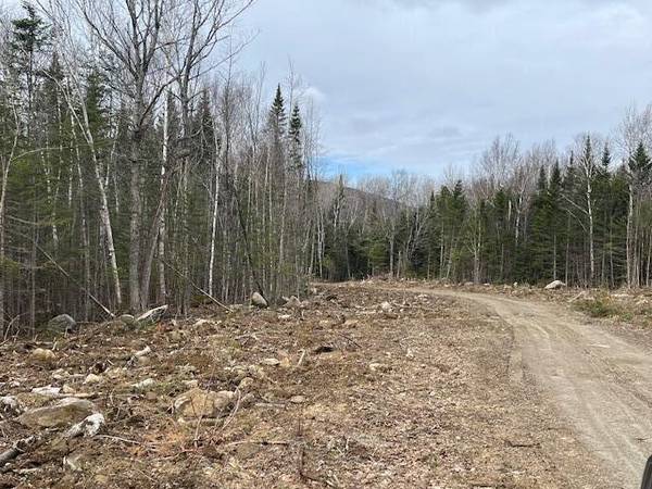 Lot 117 Big Snow WAY, Rangeley, ME 04970