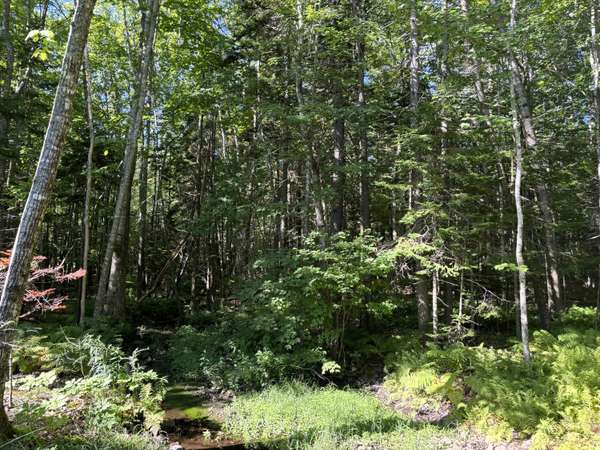 Lot 19 Roxmont RD, Rockport, ME 04856