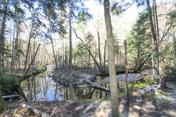 Albany Twp, ME 04217,905 Flat RD