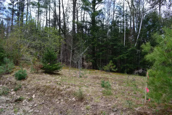 Lot 10 Howe Hill RD, Greenwood, ME 04255