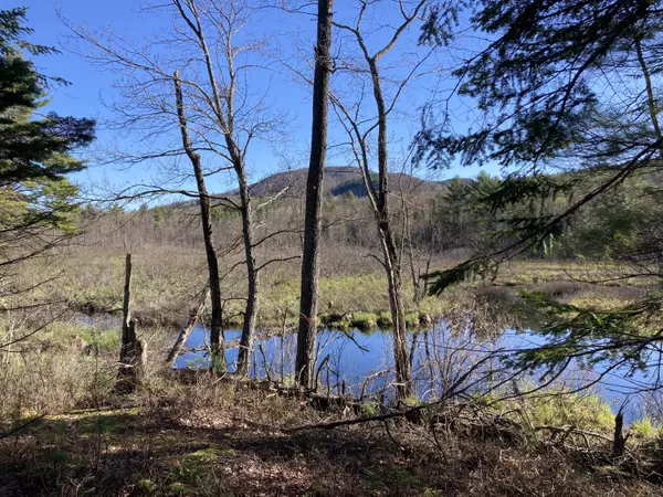 Hartford, ME 04220,Lot 20E Nezinscot Mesa