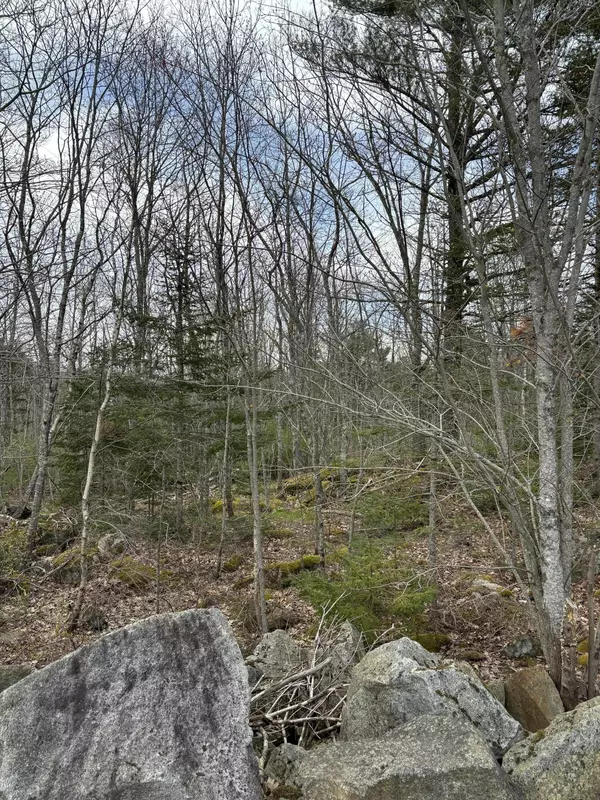 South Thomaston, ME 04858,Lot 8 Aspen DR