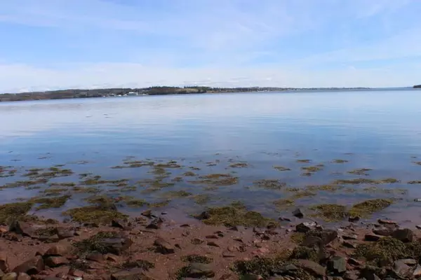 Robbinston, ME 04671,Lot #2 Seal Haven DR