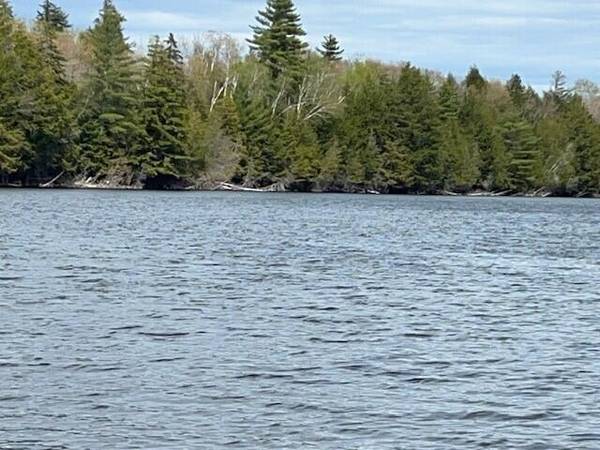 Lot #48 Boat Access Only ST, Sebec, ME 04426