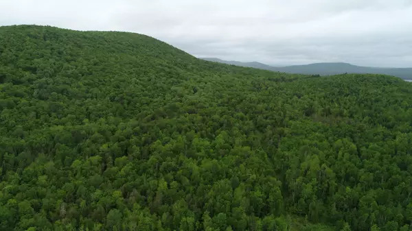 Weston, ME 04424,Lot 5 Harris Hill RD