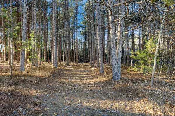 65 Newhall RD, Wells, ME 04090