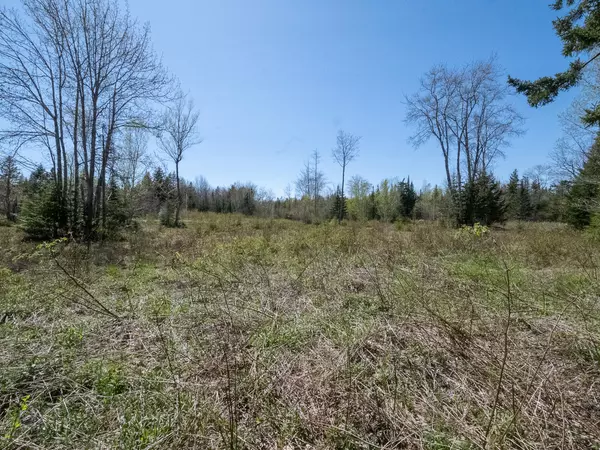 Trenton, ME 04605,6/9-2c Horse Farm RD