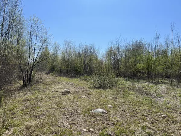 Cherryfield, ME 04622,R04-012 Off Morse LN