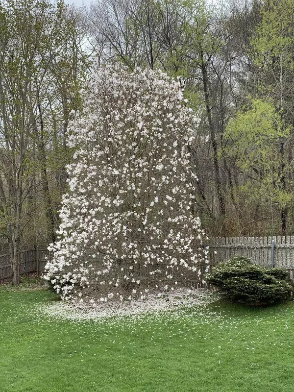 Glenburn, ME 04401,14 Vista Way