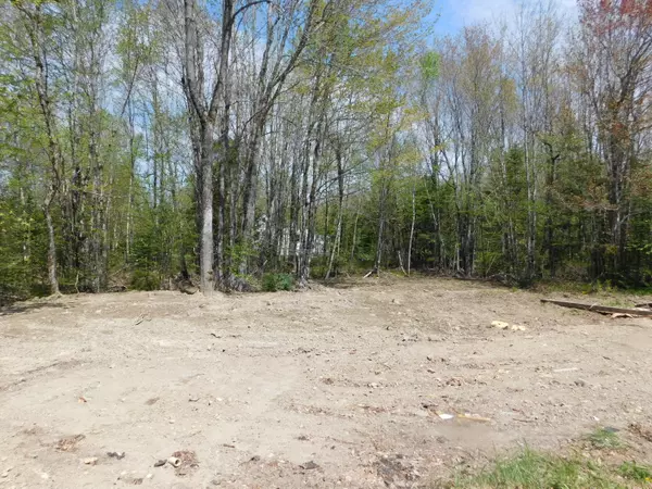 Greenbush, ME 04418,105 Bo's Lane